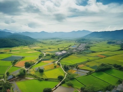 助力乡村振兴，商贸服务学校新征程